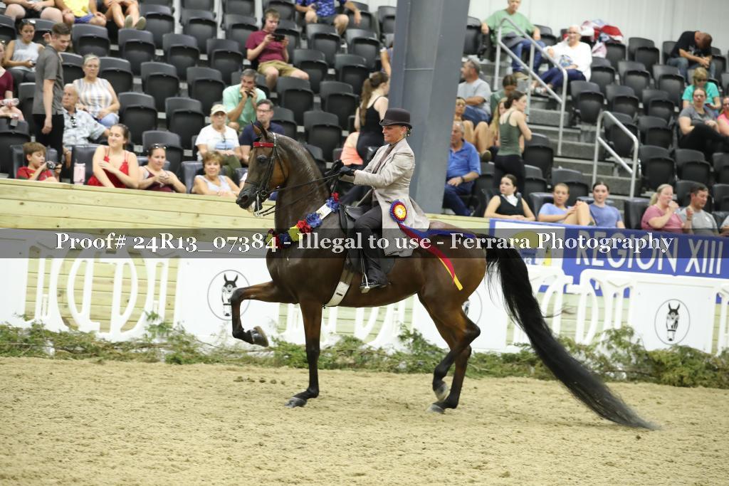 Proof 24R13_07384