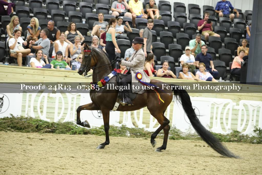 Proof 24R13_07385