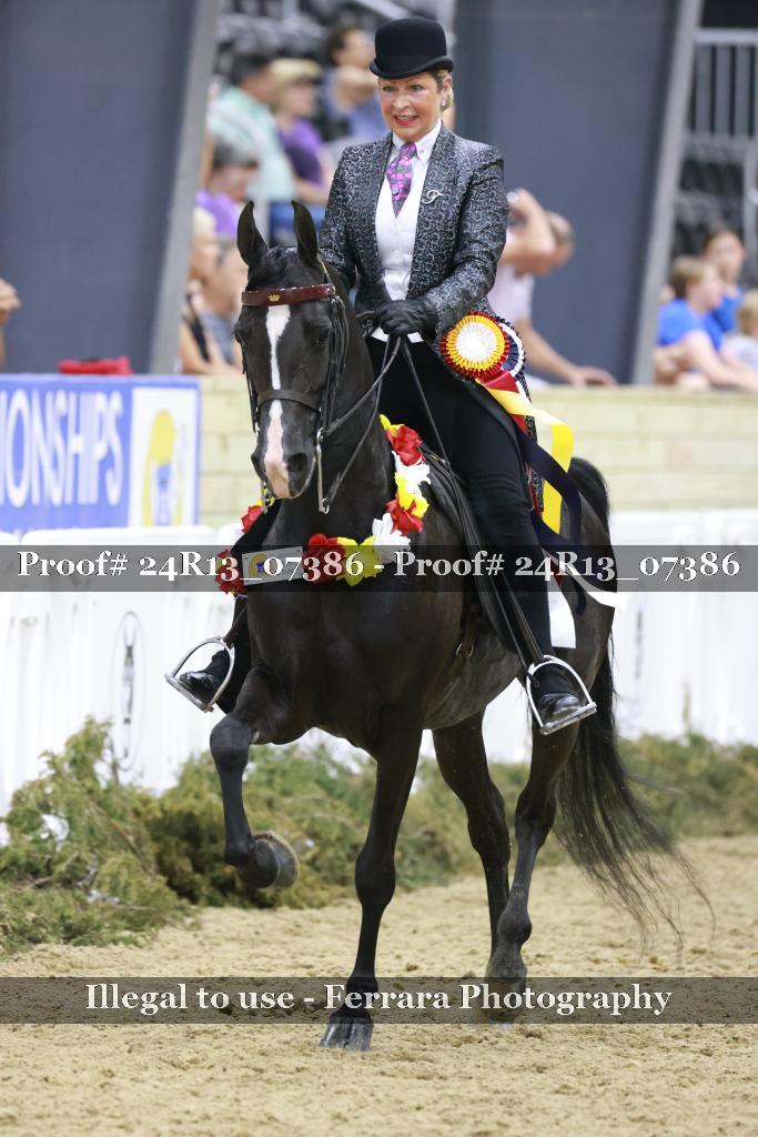 Proof 24R13_07386