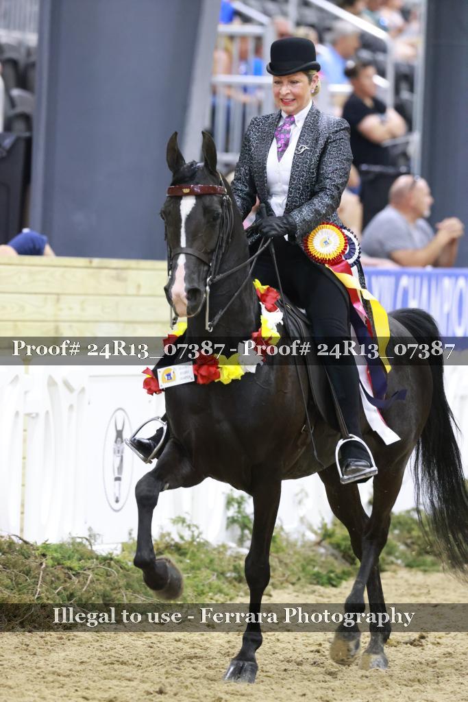 Proof 24R13_07387