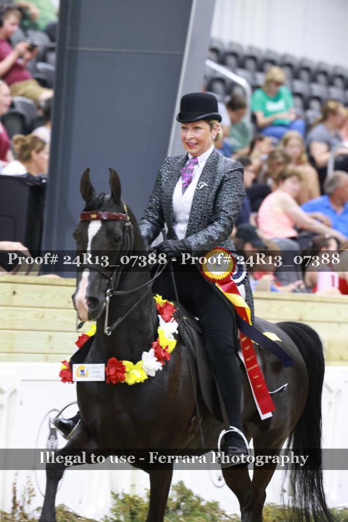 Proof 24R13_07388