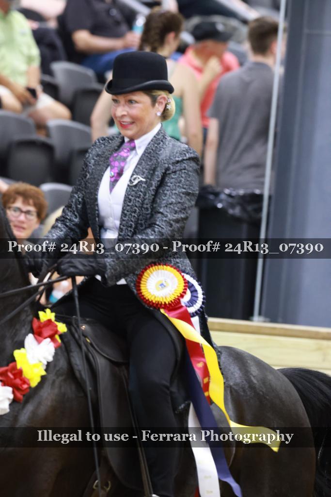 Proof 24R13_07390