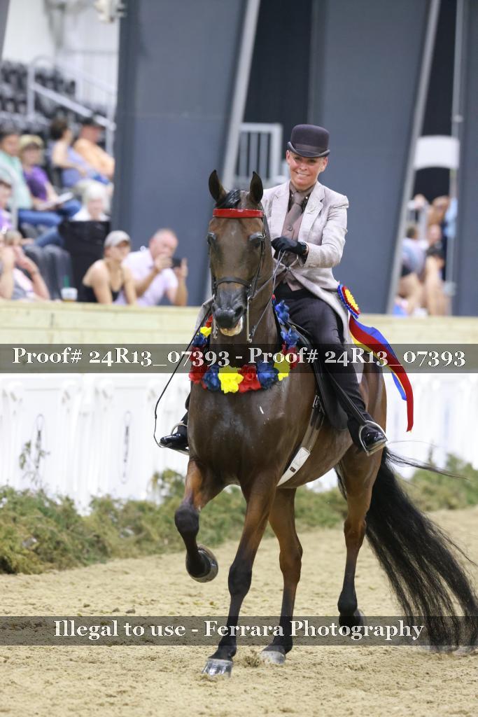 Proof 24R13_07393