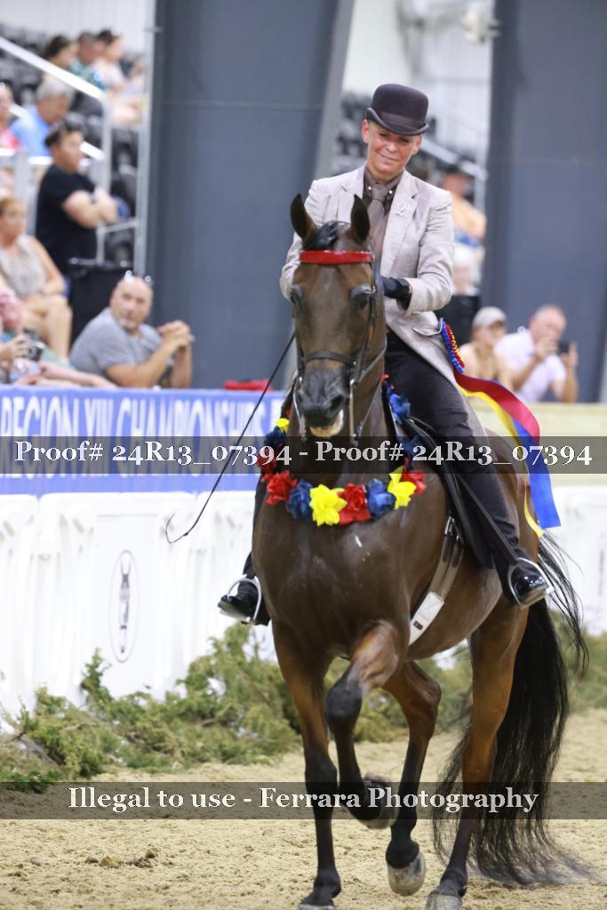 Proof 24R13_07394