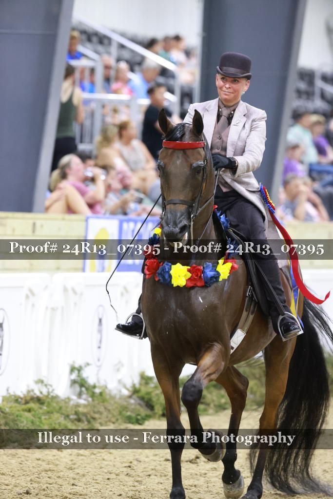 Proof 24R13_07395