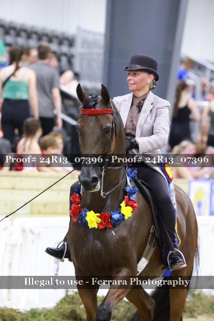 Proof 24R13_07396