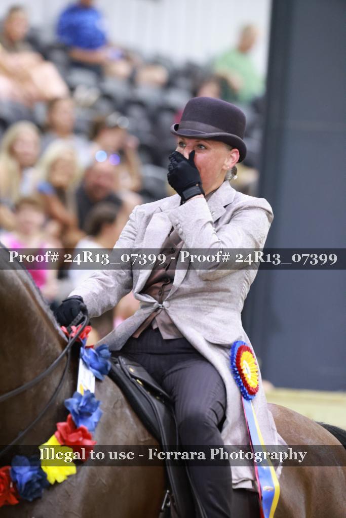 Proof 24R13_07399