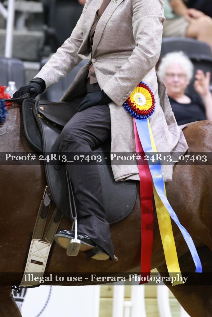 Proof 24R13_07403