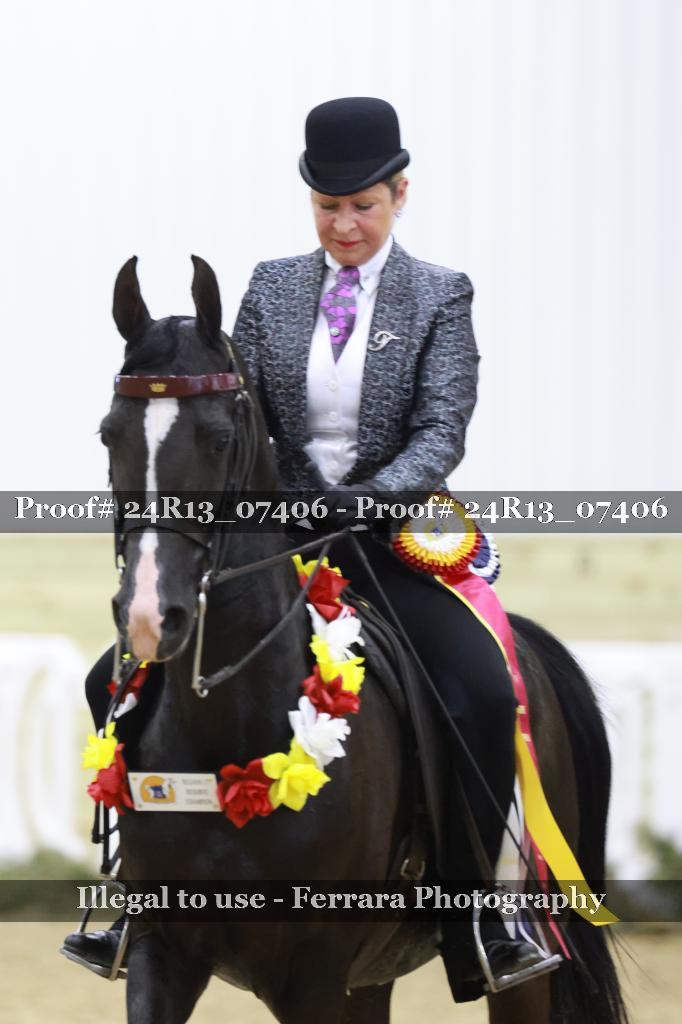 Proof 24R13_07406