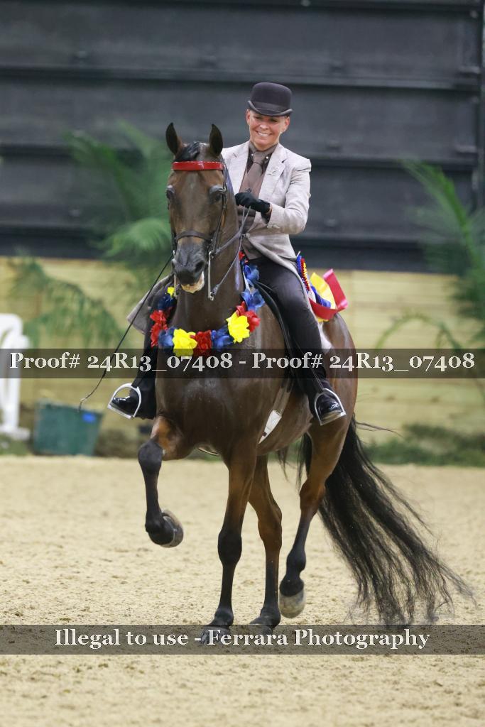 Proof 24R13_07408