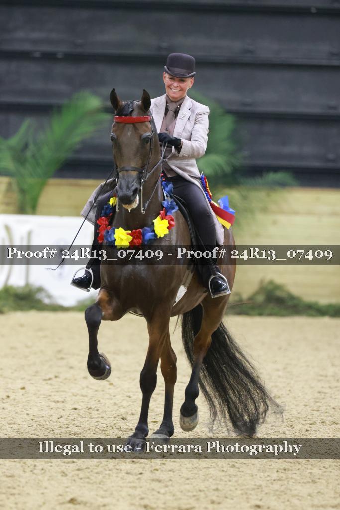 Proof 24R13_07409