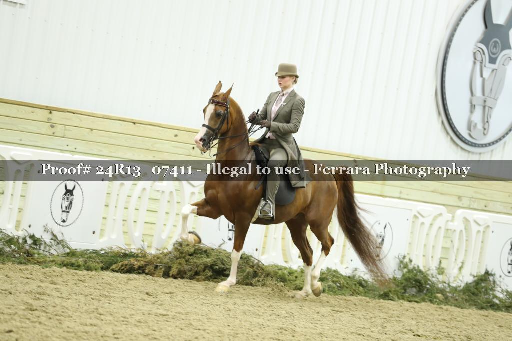Proof 24R13_07411