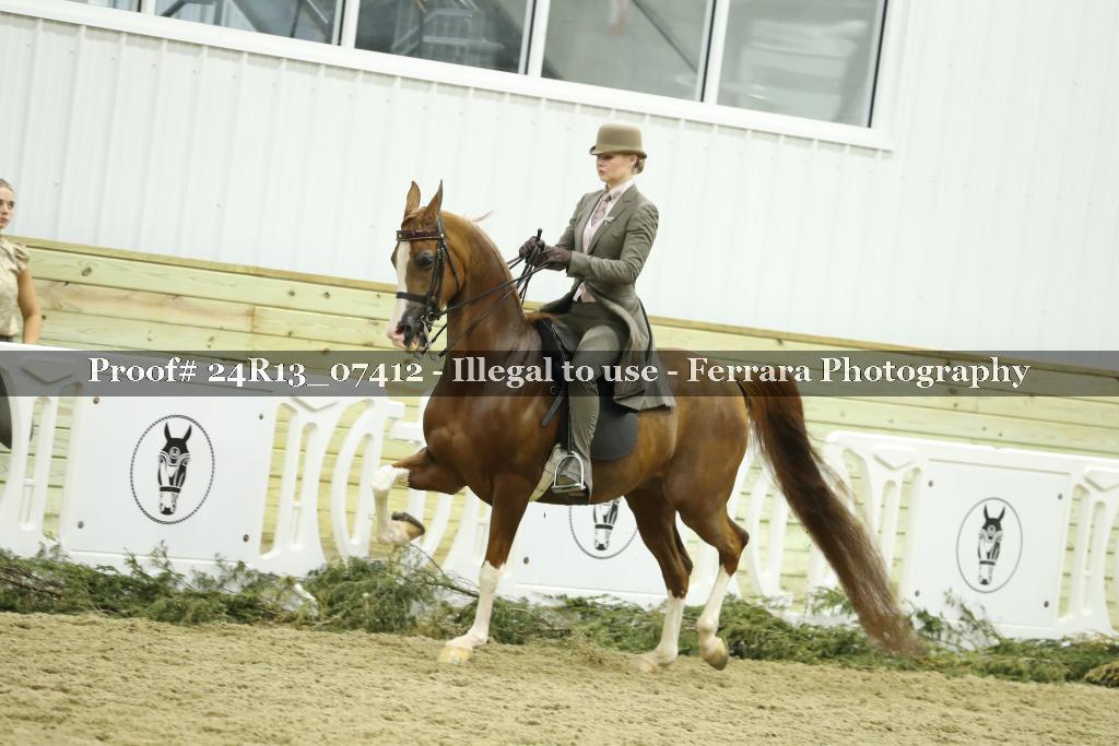 Proof 24R13_07412