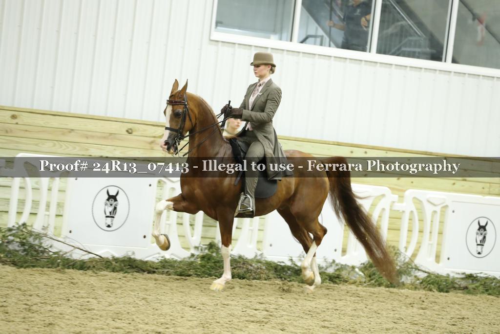 Proof 24R13_07413