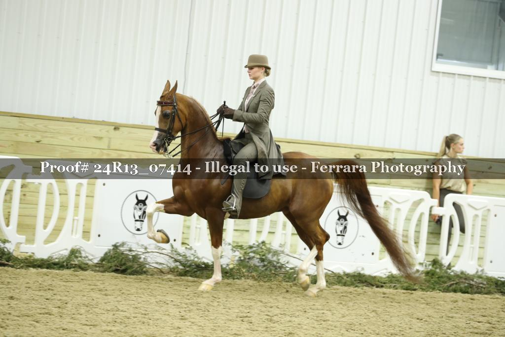 Proof 24R13_07414