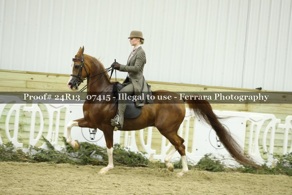 Proof 24R13_07415