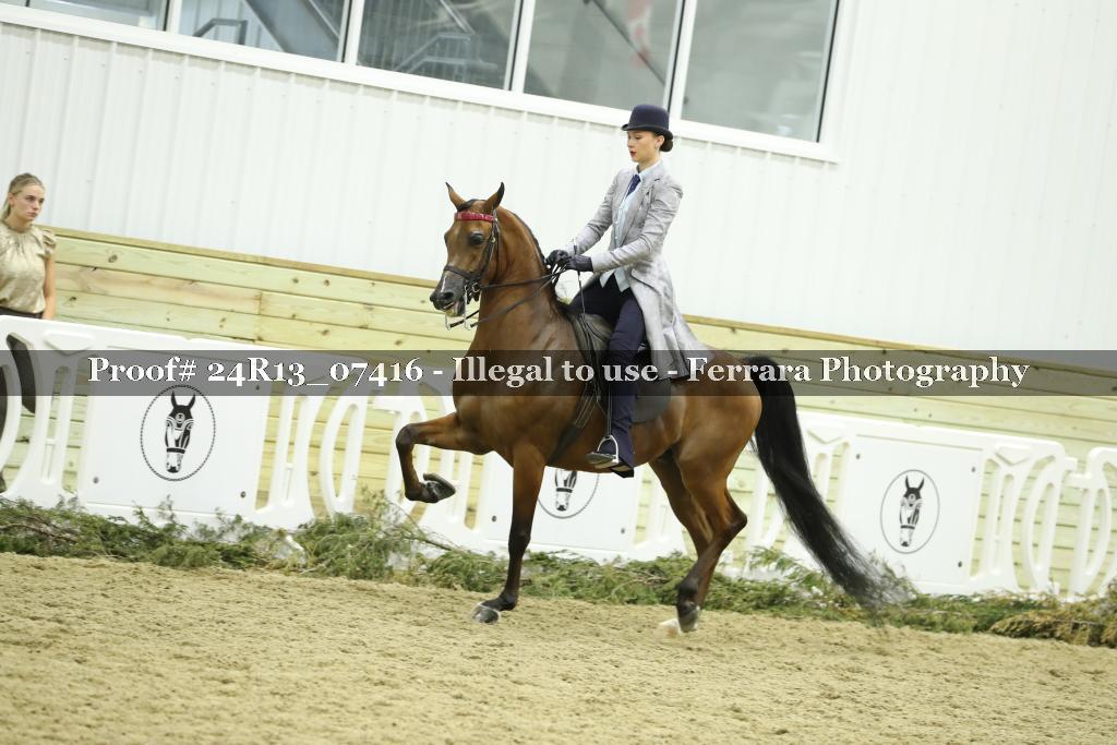 Proof 24R13_07416