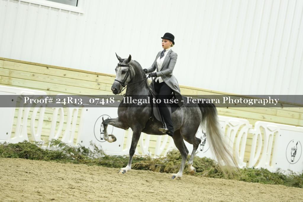 Proof 24R13_07418