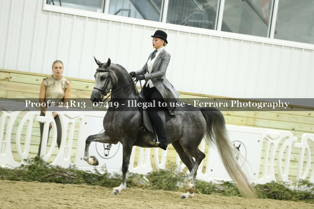 Proof 24R13_07419