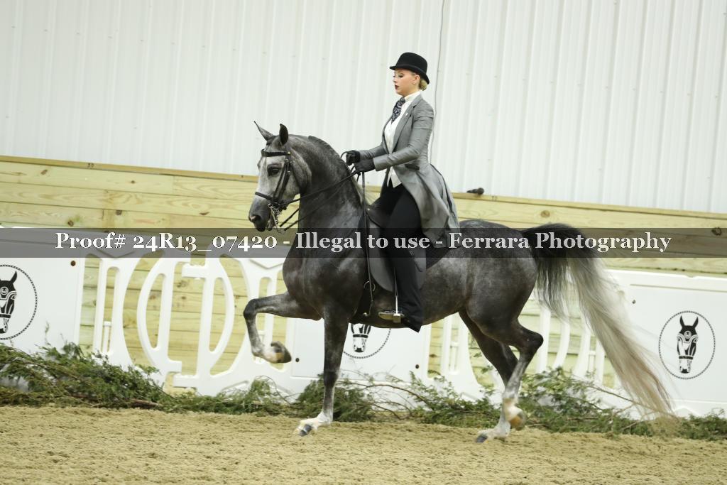 Proof 24R13_07420