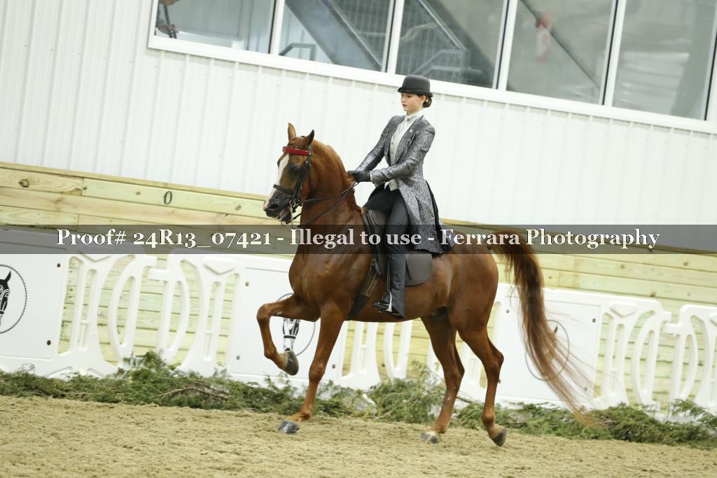 Proof 24R13_07421