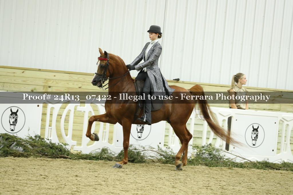 Proof 24R13_07422