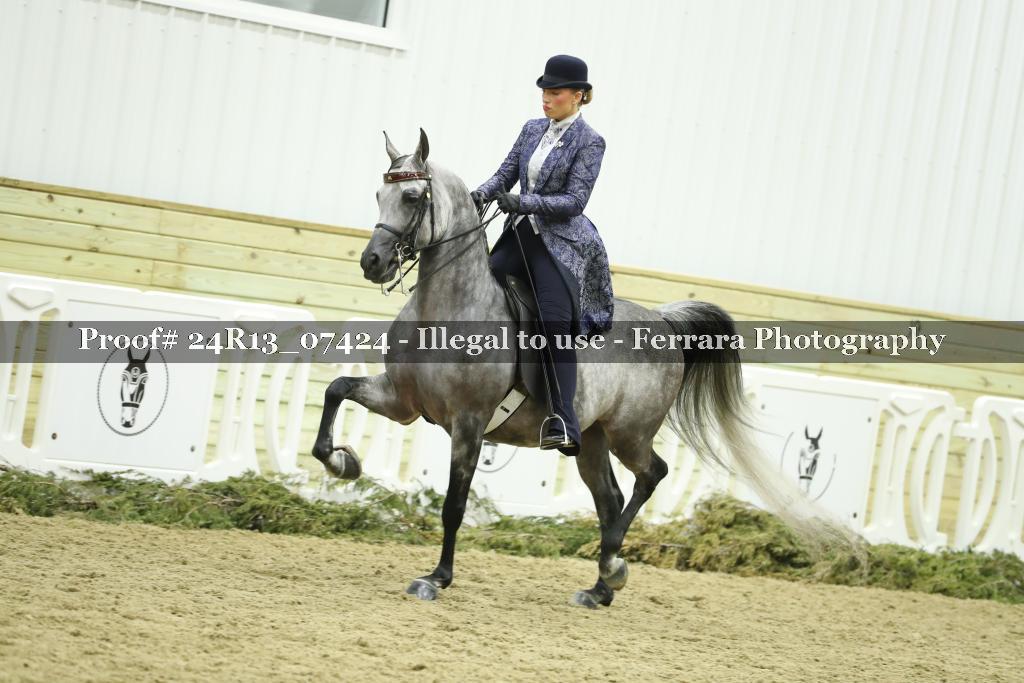 Proof 24R13_07424