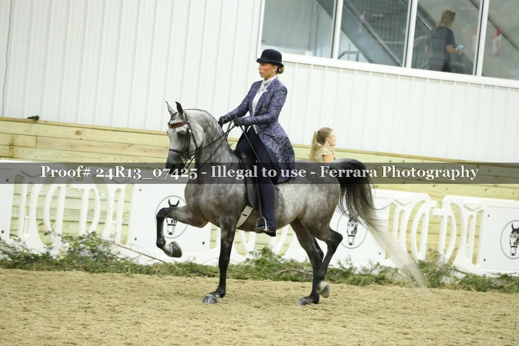 Proof 24R13_07425