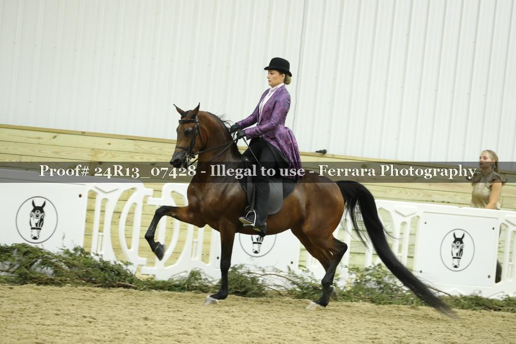 Proof 24R13_07428