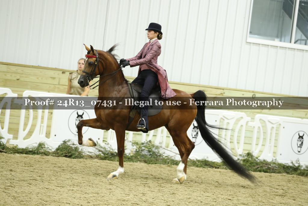 Proof 24R13_07431