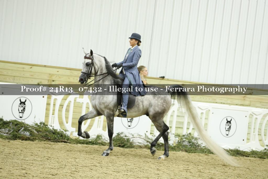 Proof 24R13_07432