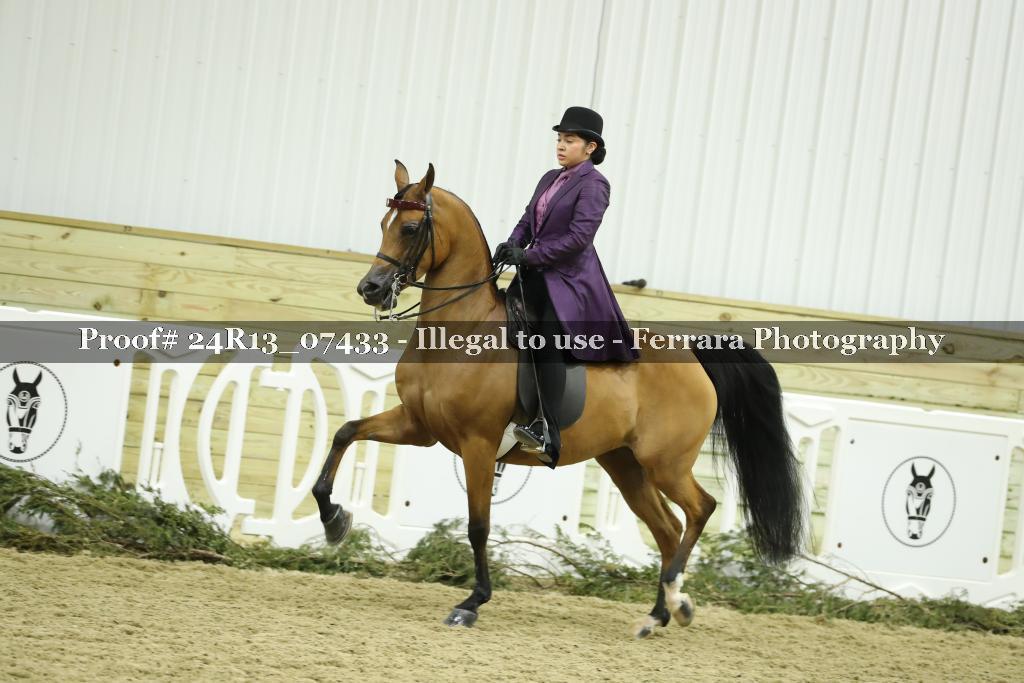 Proof 24R13_07433
