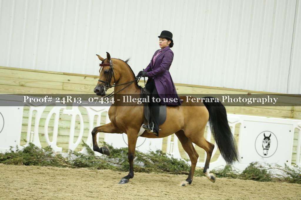 Proof 24R13_07434