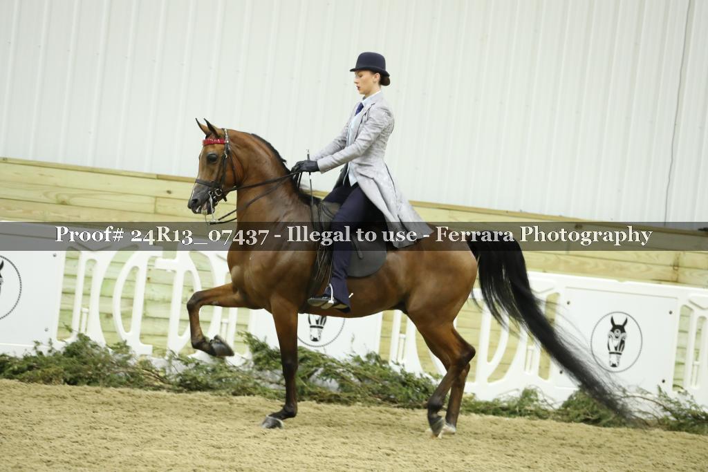 Proof 24R13_07437