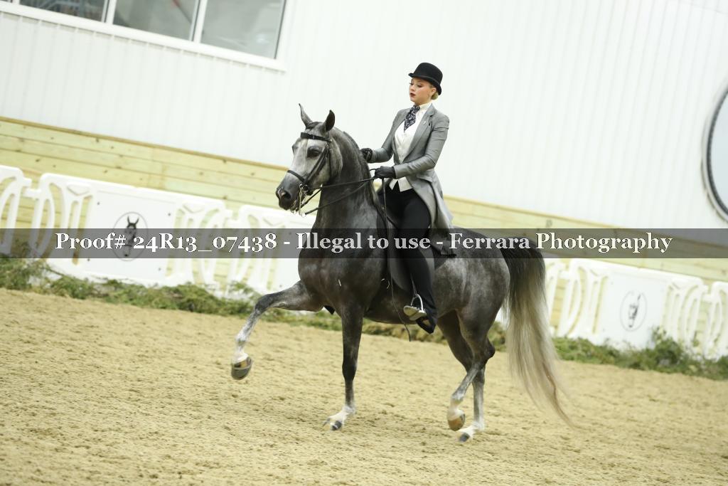 Proof 24R13_07438