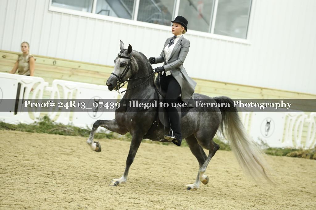 Proof 24R13_07439
