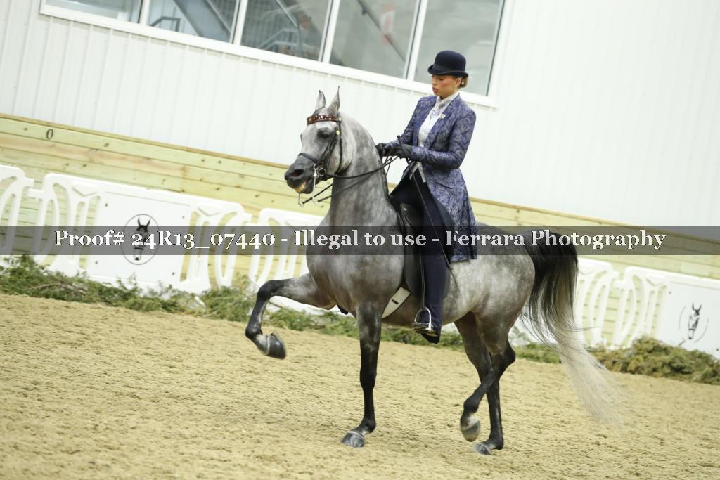 Proof 24R13_07440