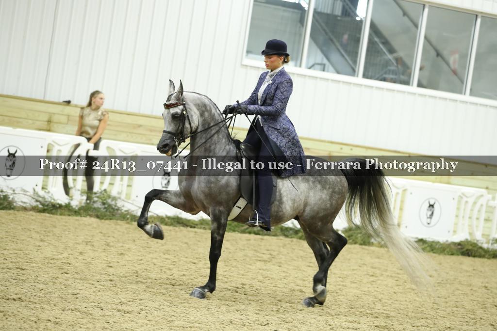 Proof 24R13_07441