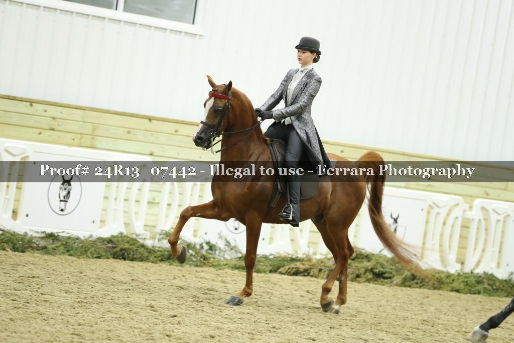 Proof 24R13_07442