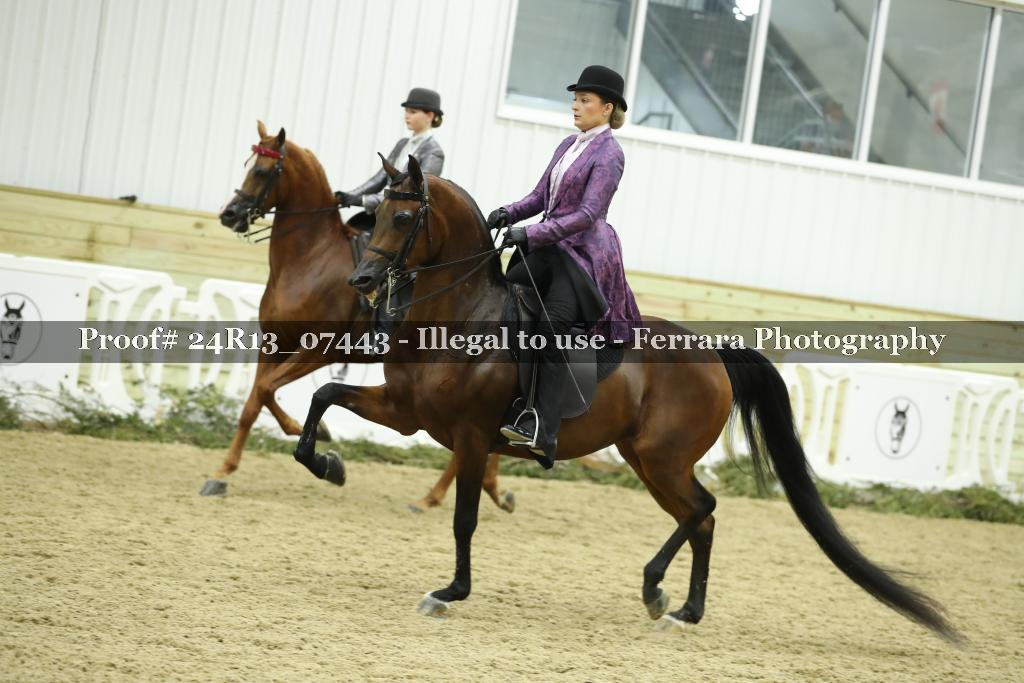 Proof 24R13_07443