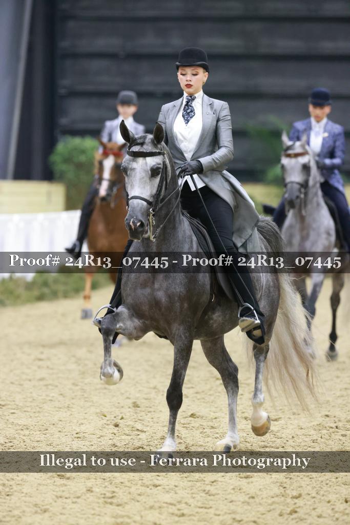 Proof 24R13_07445