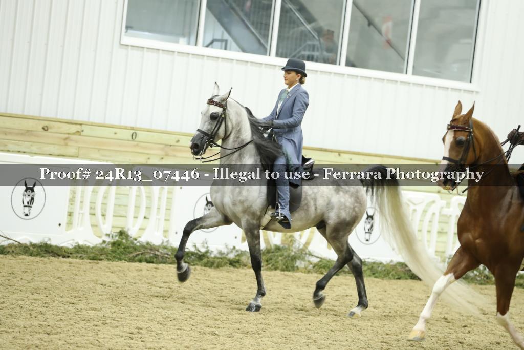 Proof 24R13_07446