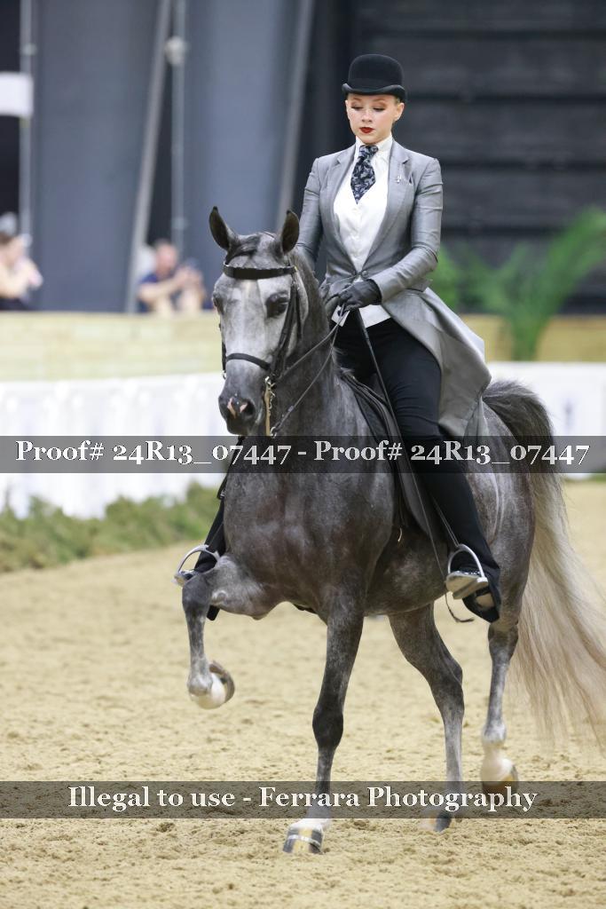 Proof 24R13_07447