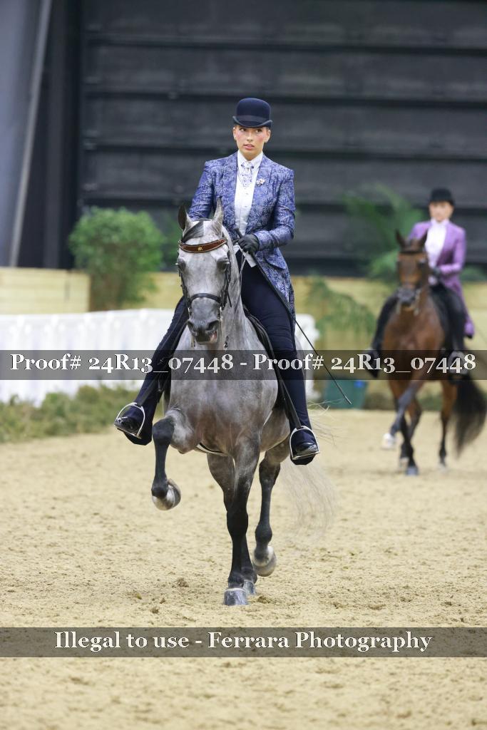 Proof 24R13_07448