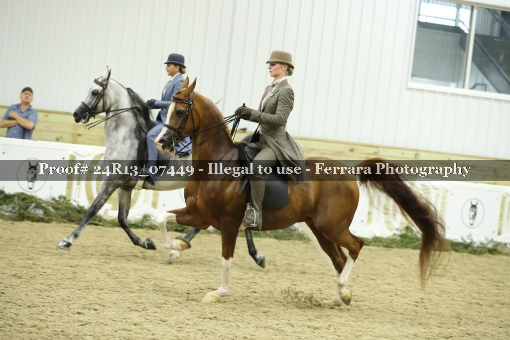 Proof 24R13_07449