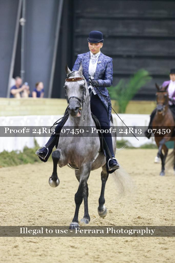 Proof 24R13_07450