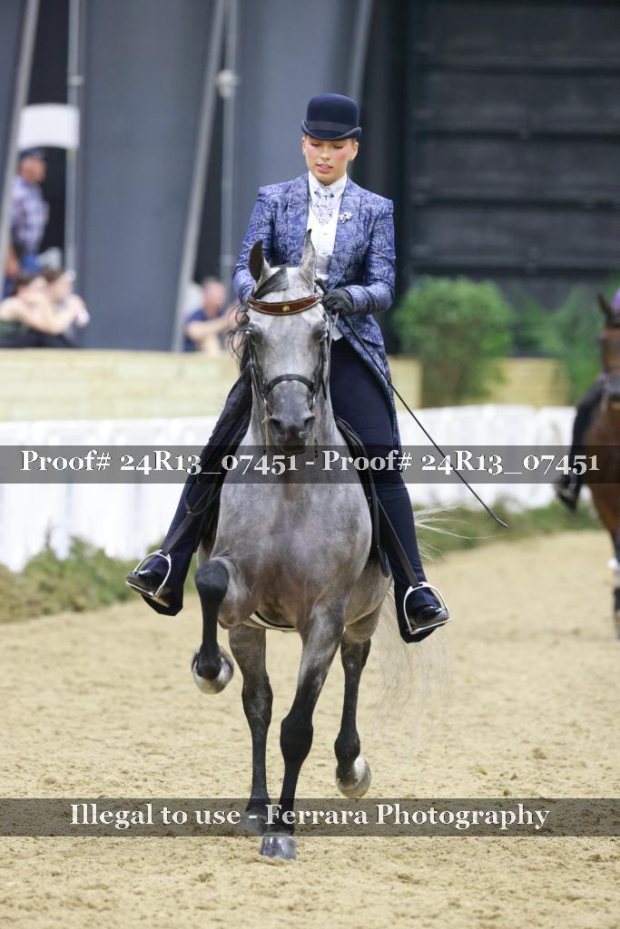 Proof 24R13_07451