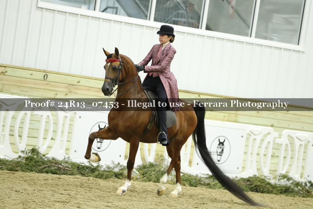 Proof 24R13_07453