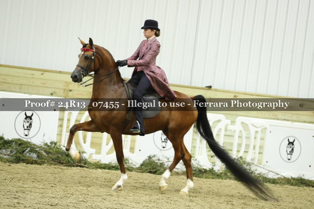 Proof 24R13_07455