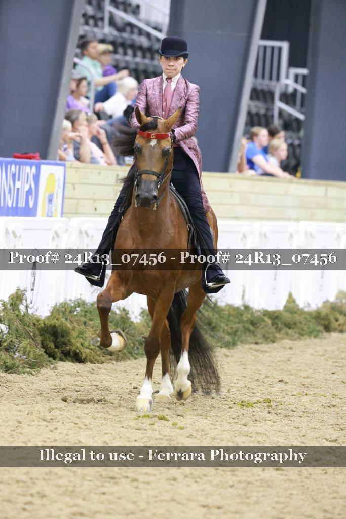 Proof 24R13_07456